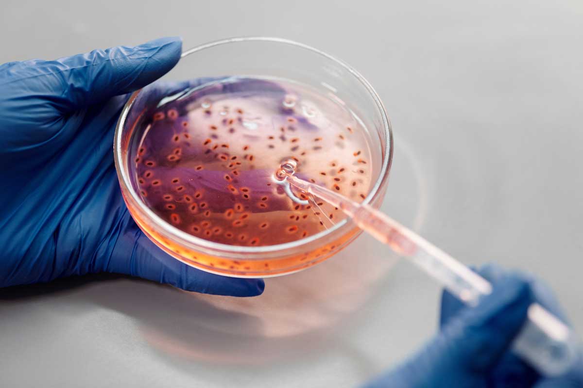 Disease detective tracks an invisible virus - Newsavailable